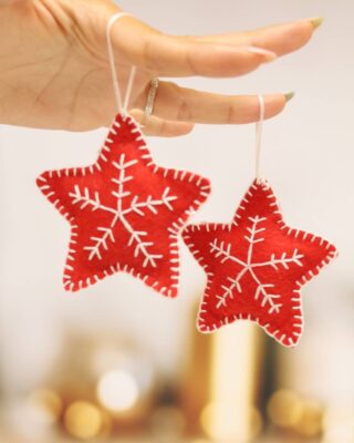 Weihnachtsdeko zum Selbermachen – Adventskalender 2025