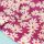 Tissu-viscose-Alafolie